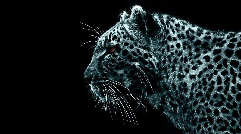 Мудрый усатый леопард