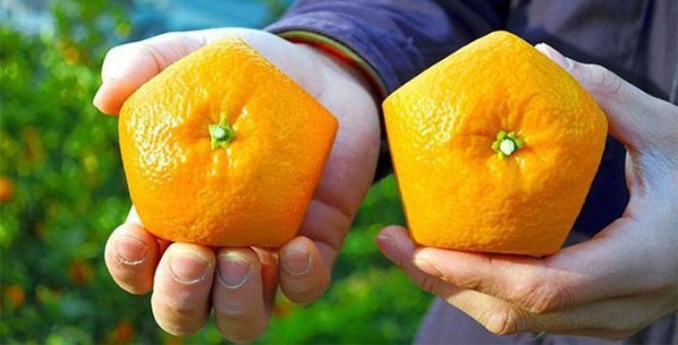 пятиугольные апельсины.