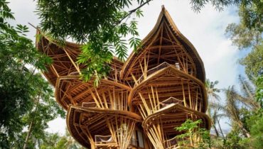 Бамбуковая архитектура