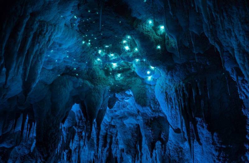 Пещера светляков