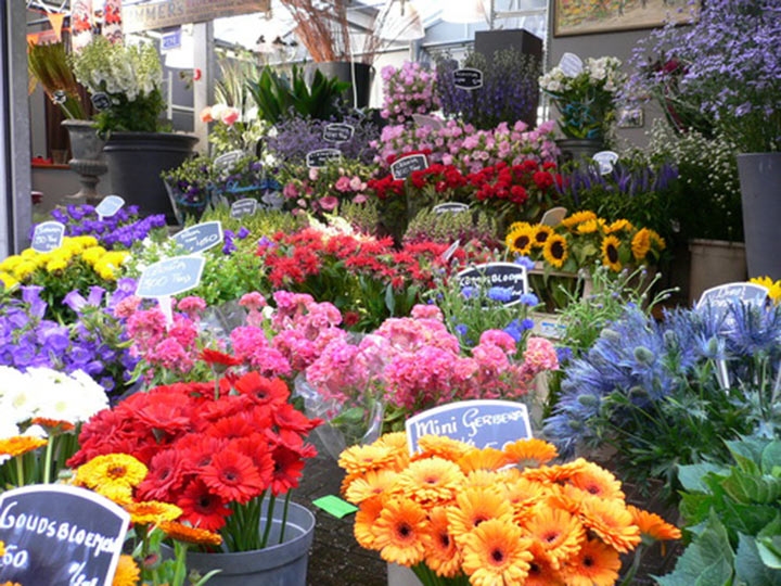 Цветочный рынок Bloemenmarkt