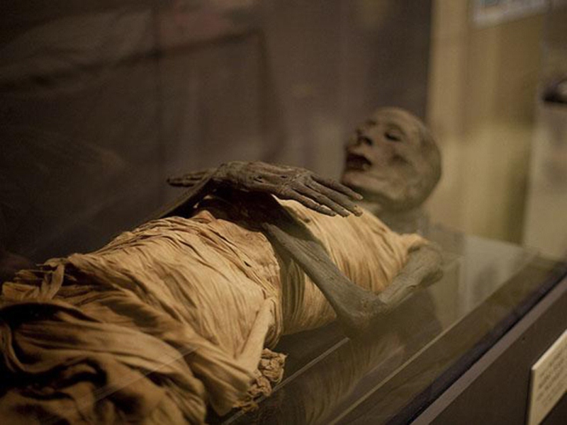 Факты о мумиях - 1