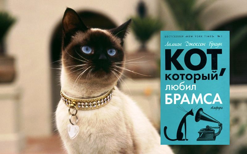 Книги про котов _1