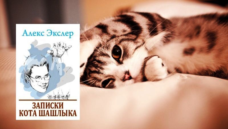 Книги про котов _2