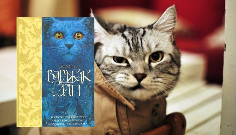 Книги про котов _3