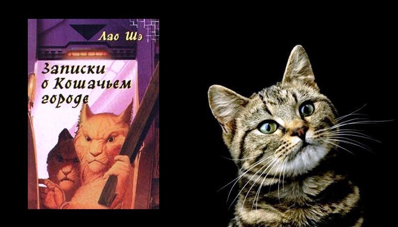 Книги про котов _8