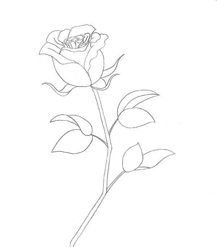 Дорисовываем листочки и веточки розы