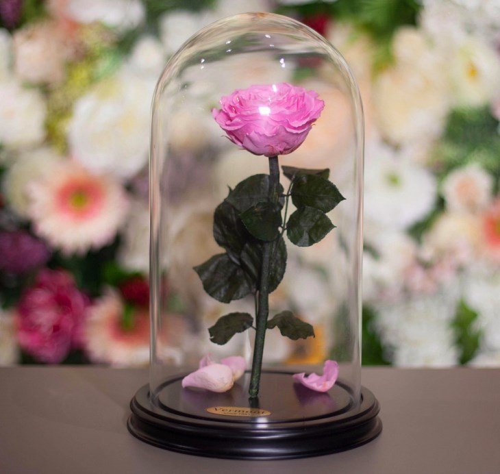 Как сделать интересную и красивую вещь – розу в колбе? Пошаговая инструкция изготовления